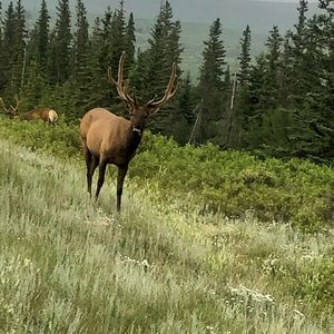 Meet your Posher, Jin